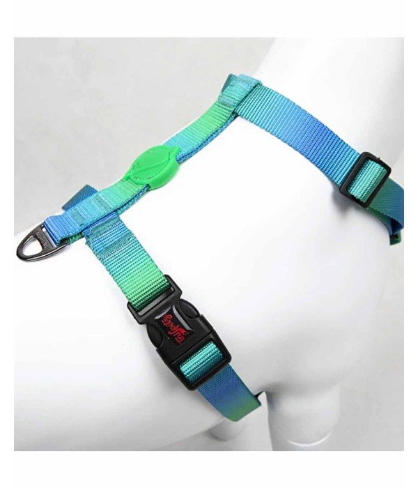 Tailpetz H Tipi Köpek Göğüs Tasması - Amazon XS Tailpetz H Tipi Köpek Göğüs Tasması - Amazon XS