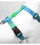 Tailpetz H Tipi Köpek Göğüs Tasması - Amazon XS Tailpetz H Tipi Köpek Göğüs Tasması - Amazon XS