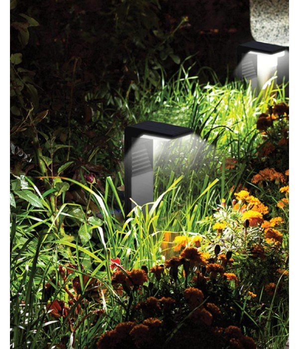 ACK AG60-03801 IP65 3000K Günışığı Solar Led Kazıklı Bahçe Armatürü