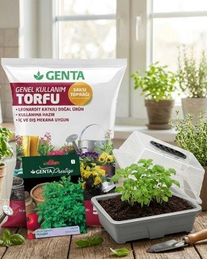 Evde Bitki Yetiştirme –  Fesleğen Hobi Seti (Tohum + Torf + Fanus)