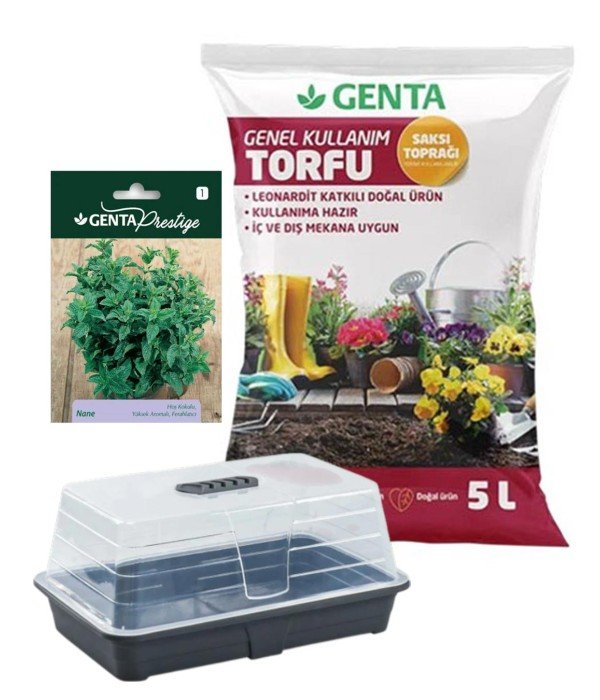 Evde Bitki Yetiştirme –  Nane Hobi Seti (Tohum + Torf + Fanus)