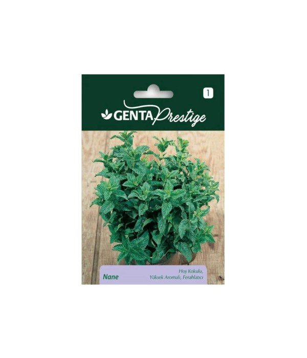 Evde Bitki Yetiştirme –  Nane Hobi Seti (Tohum + Torf + Fanus)