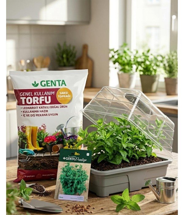 Evde Bitki Yetiştirme –  Nane Hobi Seti (Tohum + Torf + Fanus)