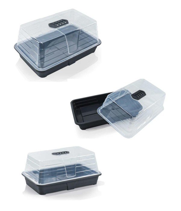 Evde Bitki Yetiştirme –  Dereotu Hobi Seti (Tohum + Torf + Fanus)