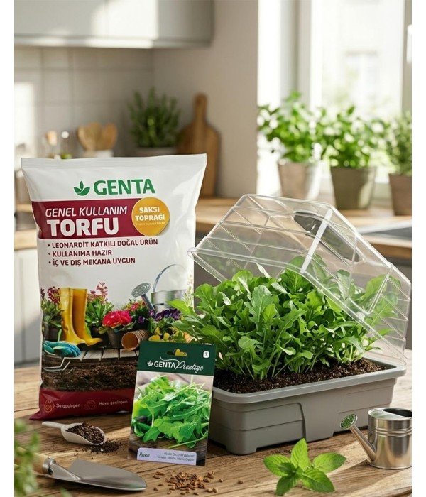 Evde Bitki Yetiştirme –  Roka Hobi Seti (Tohum + Torf + Fanus)