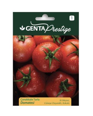 Genta - İri Kokulu Çanakkale Tarla Domatesi Tohumu 1gr Genta - İri Kokulu Çanakkale Tarla Domatesi Tohumu 1gr