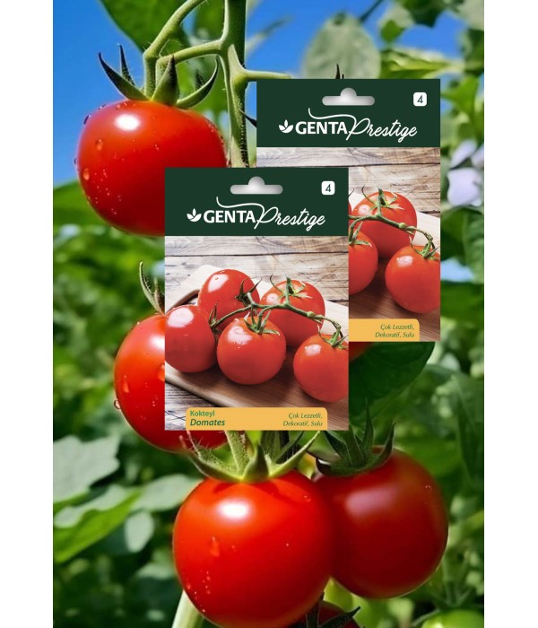 Genta - Sulu ve Lezzletli Kokteyl Domates Tohumu Genta - Sulu ve Lezzletli Kokteyl Domates Tohumu