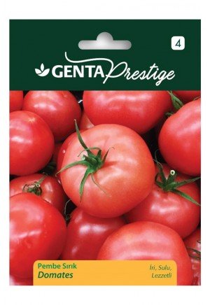 Genta - İri ve Sulu Pembe Sırık Domates Tohumu