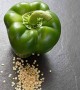 Genta - İnce Etli ve İnce Kabuklu Dolma Biber Tohumu Genta - İnce Etli ve İnce Kabuklu Dolma Biber Tohumu