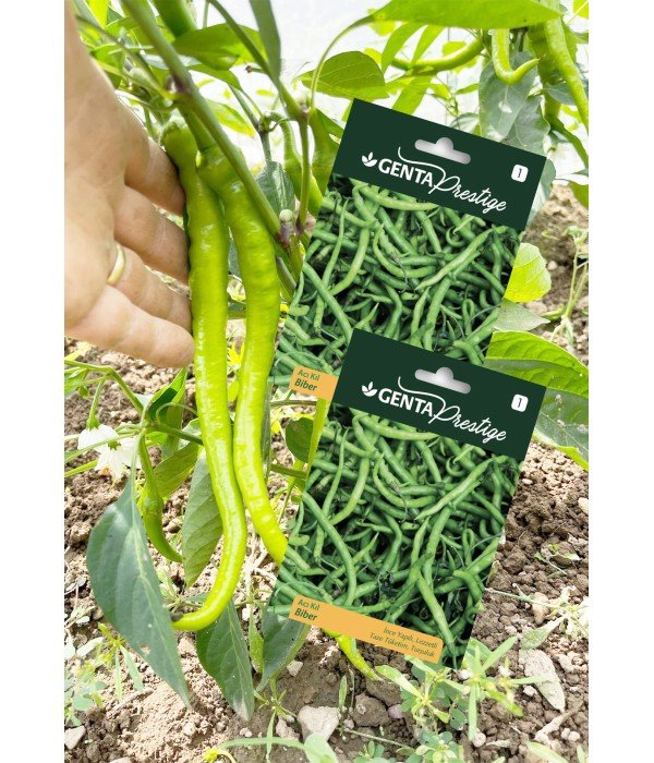 Genta - İnce Yapılı ve Lezzetli Acı Kıl Biber Tohumu