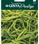 Genta - Tatlı Kıl Biber Tohumu