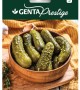 Genta - Turşuluk İçin Hıyar Tohumu Genta - Turşuluk İçin Hıyar Tohumu