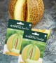 Genta - Hoş Kokulu İri Ananas Tipi Kavun Tohumu Genta - Hoş Kokulu İri Ananas Tipi Kavun Tohumu