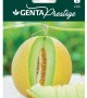 Genta - Hoş Kokulu İri Ananas Tipi Kavun Tohumu Genta - Hoş Kokulu İri Ananas Tipi Kavun Tohumu