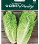Genta - Parlak Yedikule Marul Tohumu Genta - Parlak Yedikule Marul Tohumu