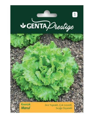 Genta - İnce Yapraklı ve Sıcağa Dayanıklı Kıvırcık Marul Tohumu 0,1 gr
