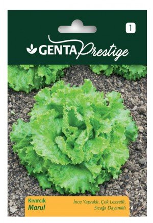 Genta - İnce Yapraklı ve Sıcağa Dayanıklı Kıvırcık Marul Tohumu 0,1 gr