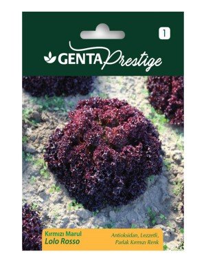 Genta - Parlak Kırmızı Renkli Kırmızı Marul Tohumu 2gr