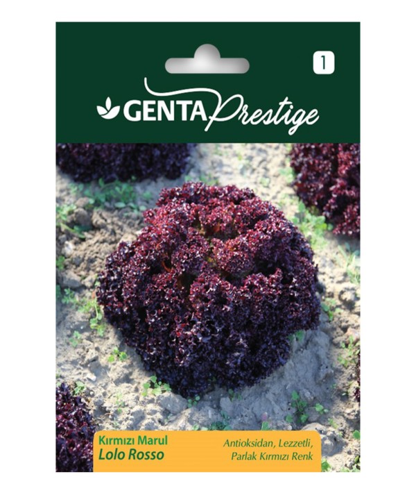 Genta - Parlak Kırmızı Renkli Kırmızı Marul Tohumu Genta - Parlak Kırmızı Renkli Kırmızı Marul Tohumu