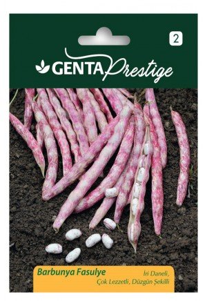 Genta - İri Taneli Barbunya Fasulye Tohumu 2gr,