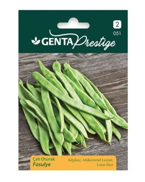 Genta - Kılçıksız Uzun ve İnce Çalı Oturak Fasulye Tohumu