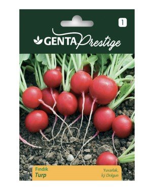 Genta - Yuvarlak ve Dolgun Fındık Turp Tohumu Genta - Yuvarlak ve Dolgun Fındık Turp Tohumu