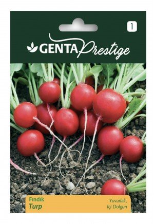 Genta - Yuvarlak ve Dolgun Fındık Turp Tohumu Genta - Yuvarlak ve Dolgun Fındık Turp Tohumu