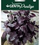 Genta - Geniş Yapraklı Çok Kokulu Reyhan Genta - Geniş Yapraklı Çok Kokulu Reyhan