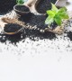 Genta - Kokulu ve Yüksek Aromalı Nane Tohumu Genta - Kokulu ve Yüksek Aromalı Nane Tohumu