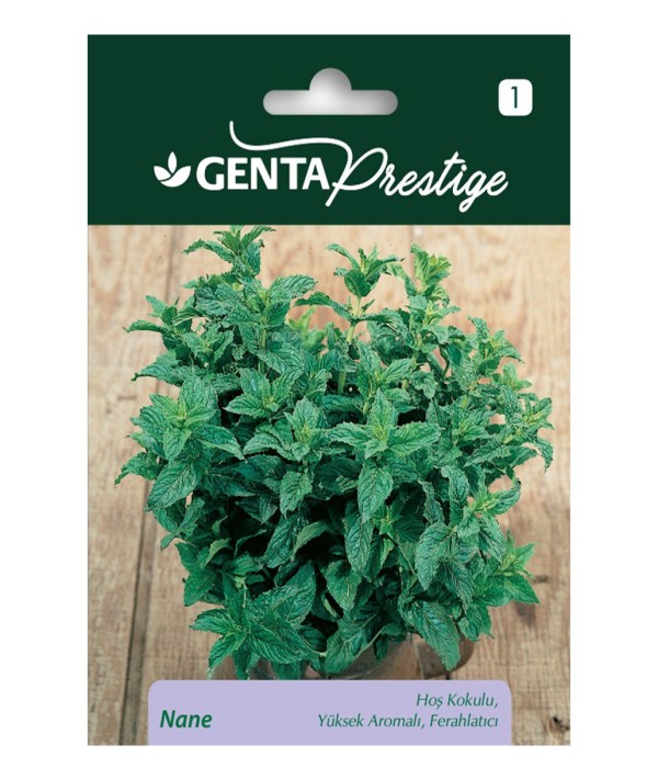 Genta - Kokulu ve Yüksek Aromalı Nane Tohumu Genta - Kokulu ve Yüksek Aromalı Nane Tohumu