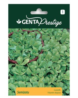 Genta - Lezzetli ve Çıtır Semizotu Tohumu 1gr