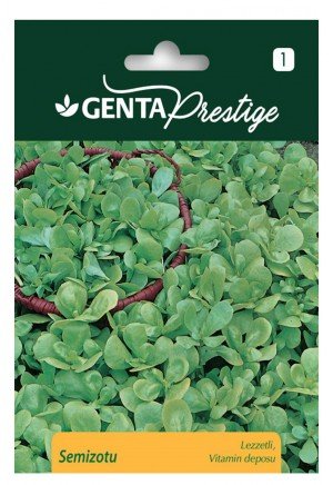 Genta - Lezzetli ve Çıtır Semizotu Tohumu 1gr Genta - Lezzetli ve Çıtır Semizotu Tohumu 1gr
