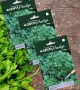 Genta - Yoğun Aromalı İri Yapraklı İtalyan Maydanoz Tohumu Genta - Yoğun Aromalı İri Yapraklı İtalyan Maydanoz Tohumu
