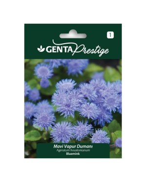 Genta - Mavi Vapur Dumanı Çiçeği Tohumu 0,4gr