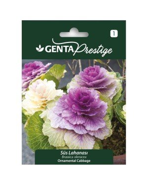 Genta - Süs Lahanası Bitkisi Tohumu 0,5 gr