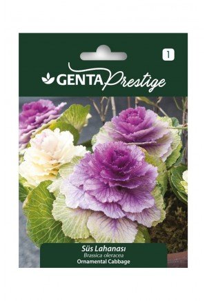 Genta - Süs Lahanası Bitkisi Tohumu 0,5 gr Genta - Süs Lahanası Bitkisi Tohumu 0,5 gr