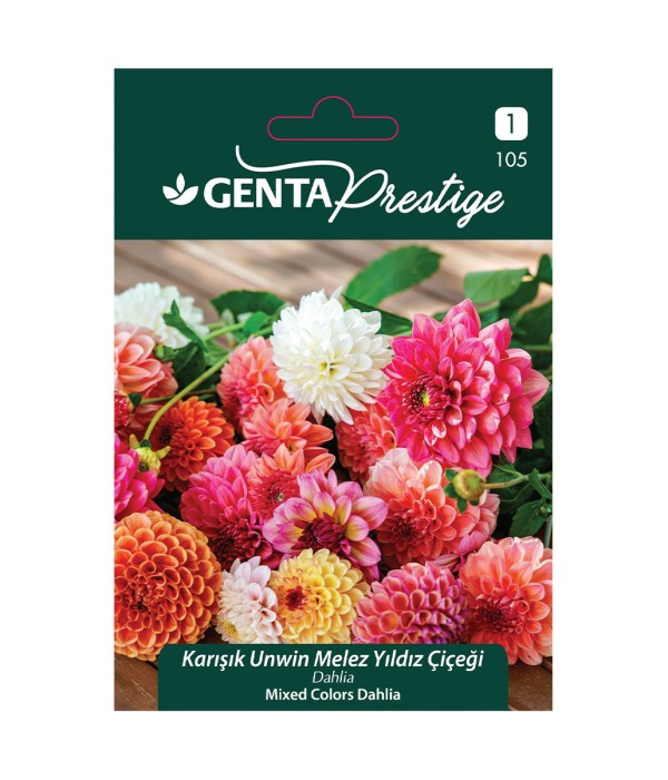 Genta - Karışık Unwin Melez Yıldız Çiçeği Tohumu Genta - Karışık Unwin Melez Yıldız Çiçeği Tohumu