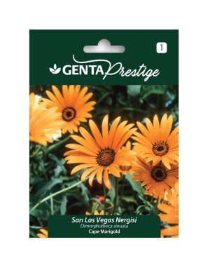 Genta - Sarı Las Vegas Çiçeği Tohumu 1gr