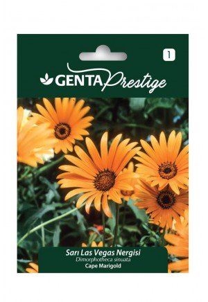 Genta - Sarı Las Vegas Çiçeği Tohumu 1gr Genta - Sarı Las Vegas Çiçeği Tohumu 1gr