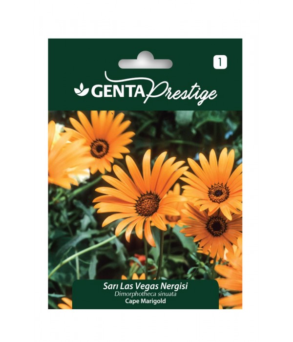 Genta - Sarı Las Vegas Çiçeği Tohumu Genta - Sarı Las Vegas Çiçeği Tohumu