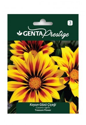Genta - Koyun Gözü Çiçeği Tohumu
