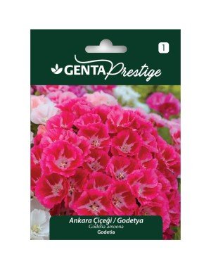 Genta - Ankara Çiçeği Godetya Tohumu 1gr
