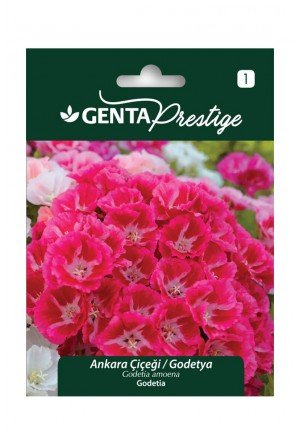 Genta - Ankara Çiçeği Godetya Tohumu 1gr