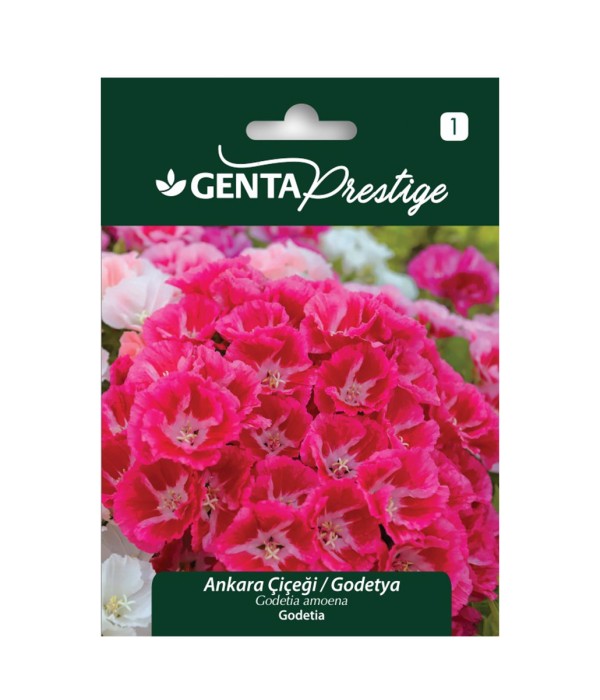 Genta - Ankara Çiçeği Godetya Tohumu Genta - Ankara Çiçeği Godetya Tohumu