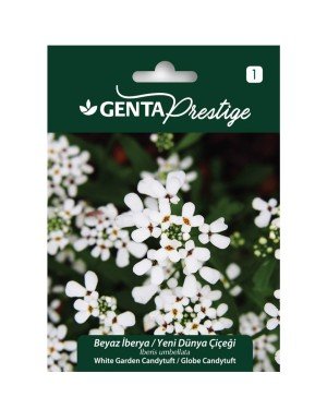 Genta - Beyaz İberya Çiçek Tohumu 2gr