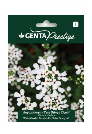 Genta - Beyaz İberya Çiçek Tohumu 2gr