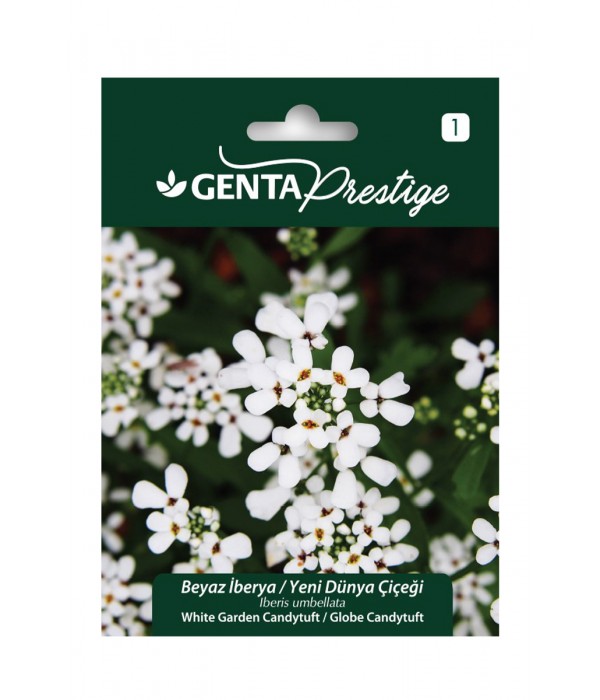 Genta - Beyaz İberya Çiçek Tohumu Genta - Beyaz İberya Çiçek Tohumu