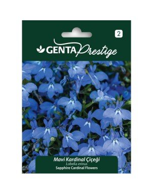 Genta - Mavi Kardinal Çiçeği Tohumu 0,3gr