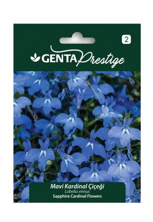 Genta - Mavi Kardinal Çiçeği Tohumu 0,3gr Genta - Mavi Kardinal Çiçeği Tohumu 0,3gr
