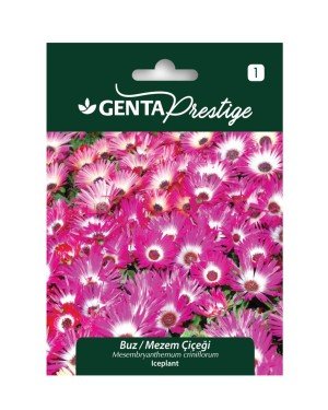 Genta - Buz Mezem – Iceplant Yer Örtücü Çiçek Tohumu